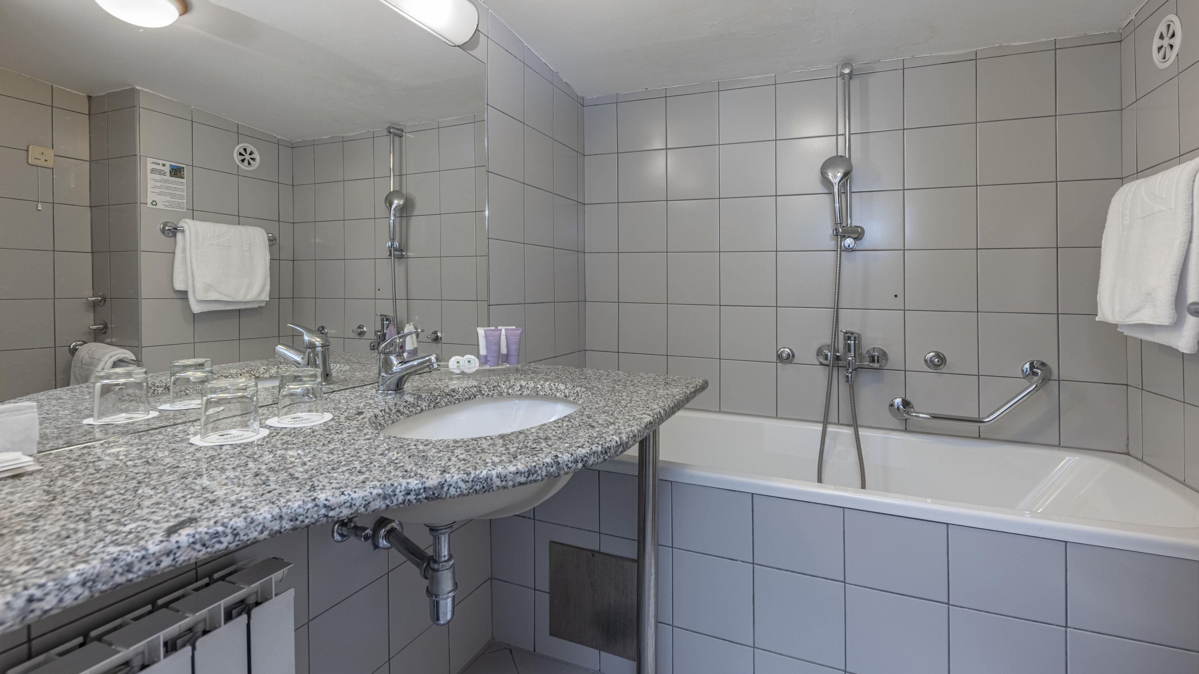 double room (attic) | bathroom | hair dryer, towels