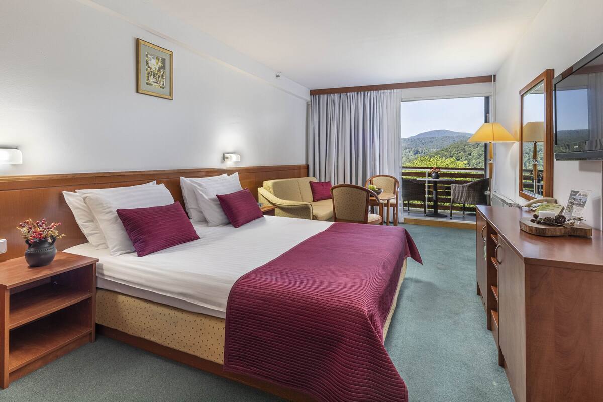 Une chambre d’hôtel avec un lit, un bureau, une chaise, une télévision et un balcon avec vue.