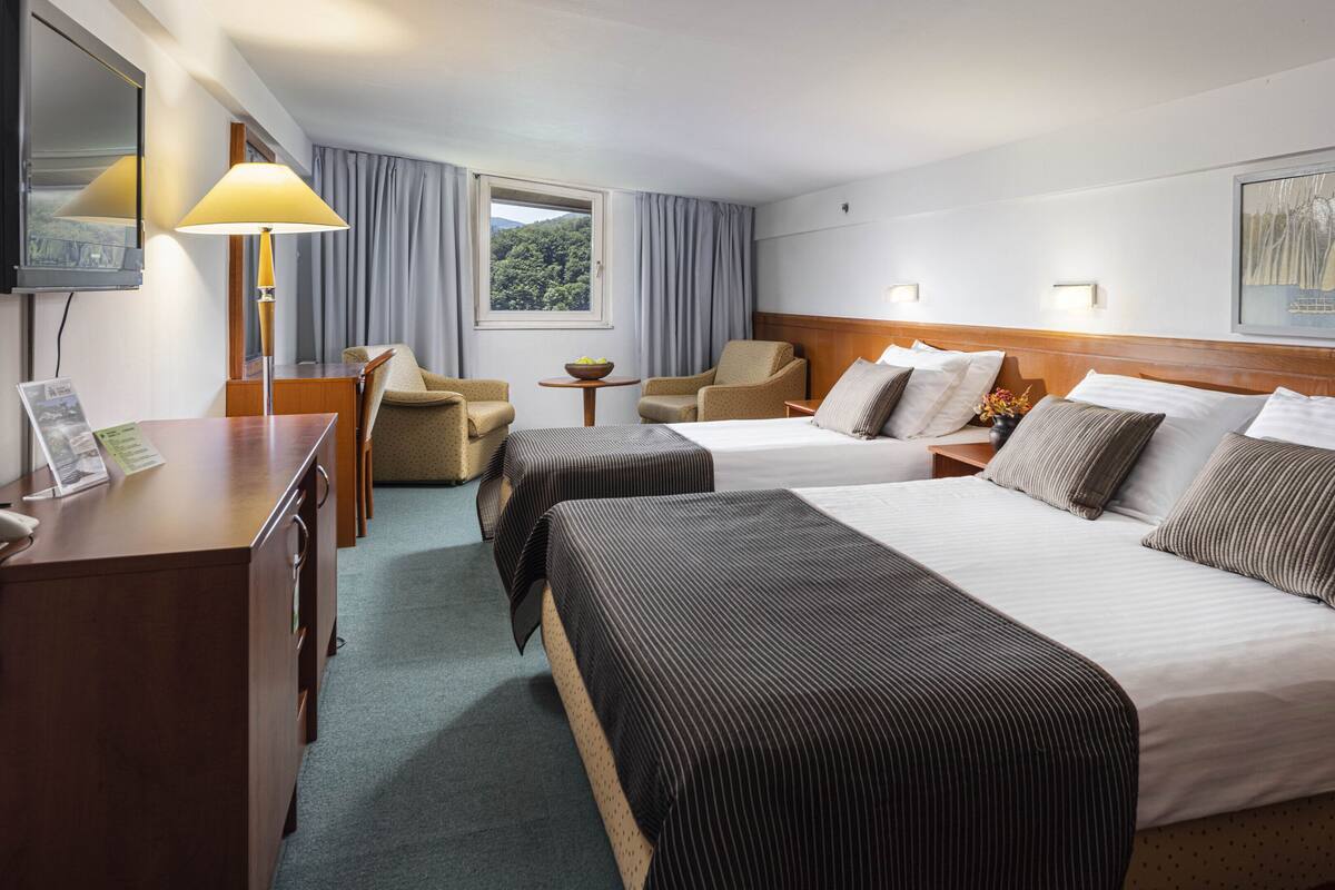 Une chambre d’hôtel avec deux lits, un bureau, une chaise, une lampe et une fenêtre donnant sur des arbres.