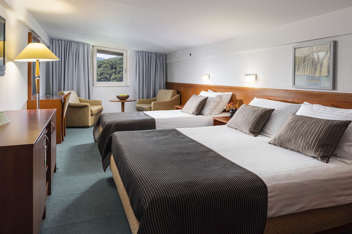 double room (attic) | 1 bedroom, minibar, in-room safe, free wifi