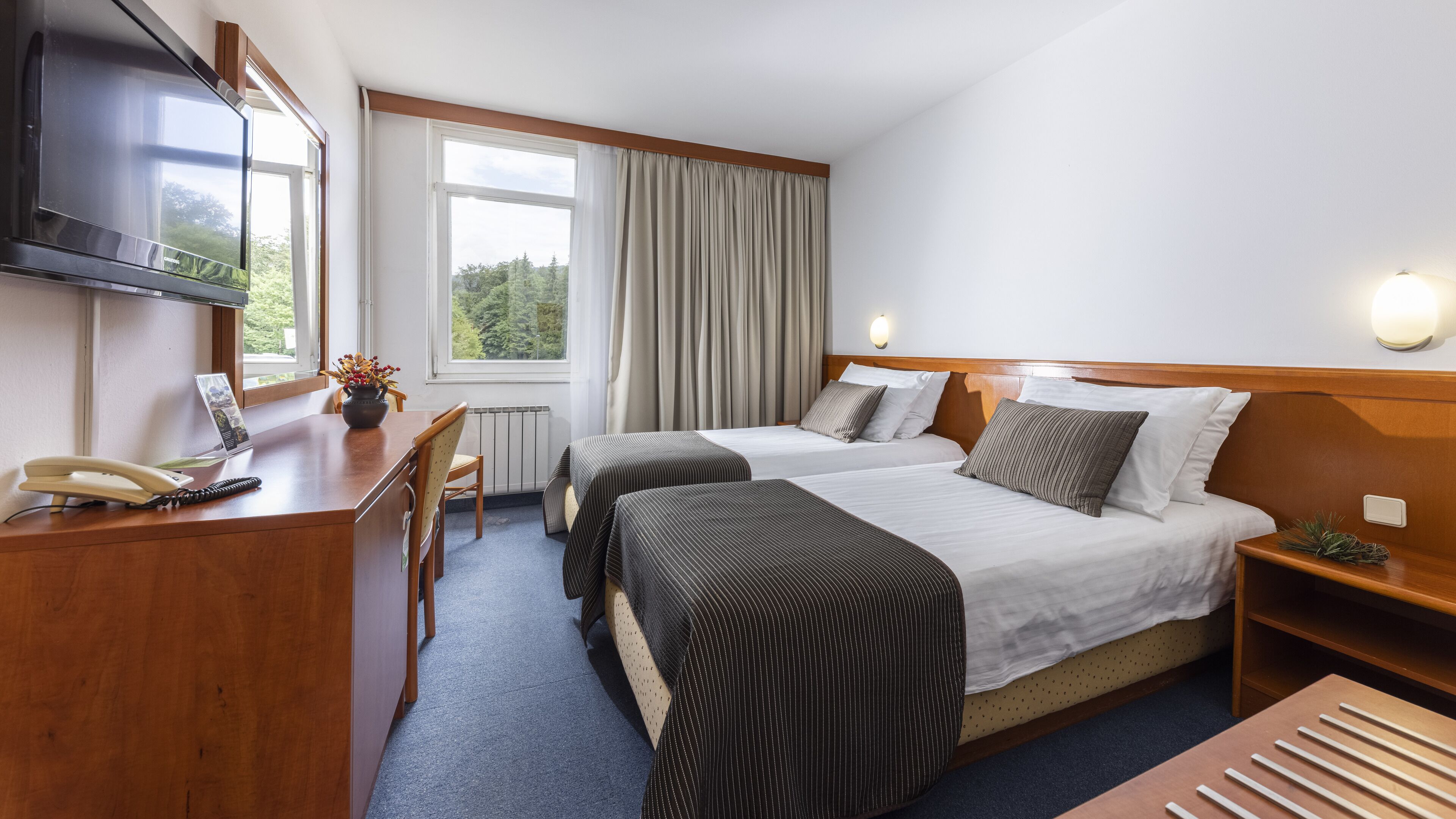 standard double room, park side | 1 bedroom, minibar, in-room safe, free wifi