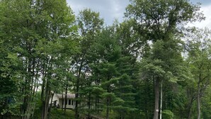 A serene lakeside view with lush greenery and a house partially obscured by trees. - Beautiful home on Rifle River! Enjoy kayaking, outdoor fire, wildlife viewing (Prescott)