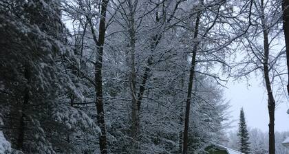 Beautiful home on Rifle River! Enjoy kayaking, outdoor fire, wildlife viewing