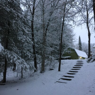 Beautiful home on Rifle River! Enjoy kayaking, outdoor fire, wildlife viewing