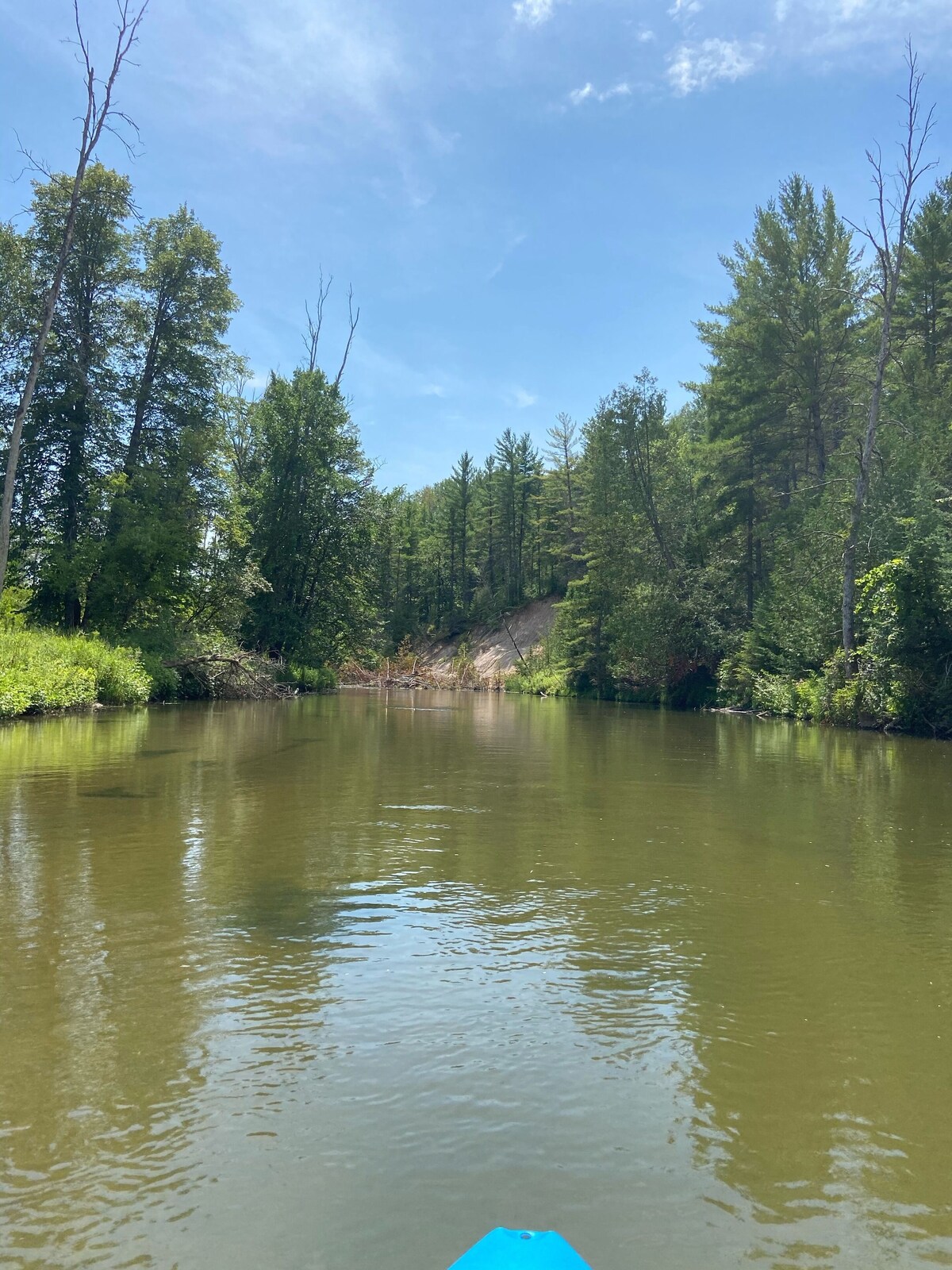 Imagen de perfil del propietario o de la propietaria