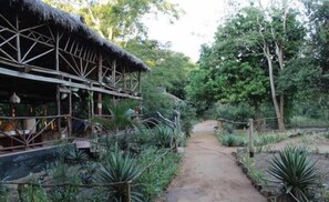 Property grounds - Zarafa Tented Camp (Mloka)