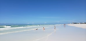 Plage, chaises longues, serviettes de plage