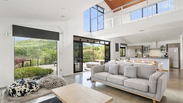 Televisio, Netflix, suoratoistopalvelut