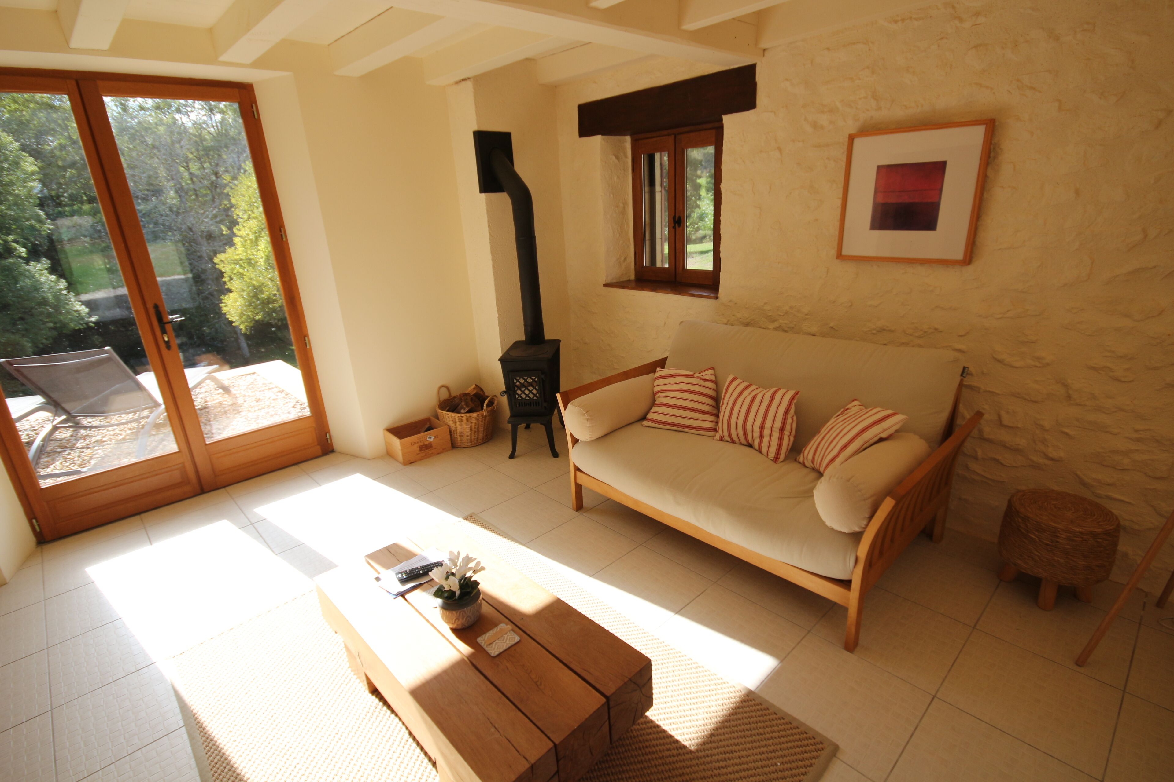 Smart TV, fireplace, DVD player, books