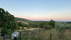 A garden with a spherical object, possibly a light, surrounded by various plants and a fence. - The casina of the NOT time downstairs (MONTEBUONO DI SORANO)