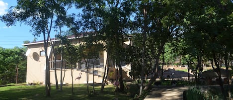 Property grounds