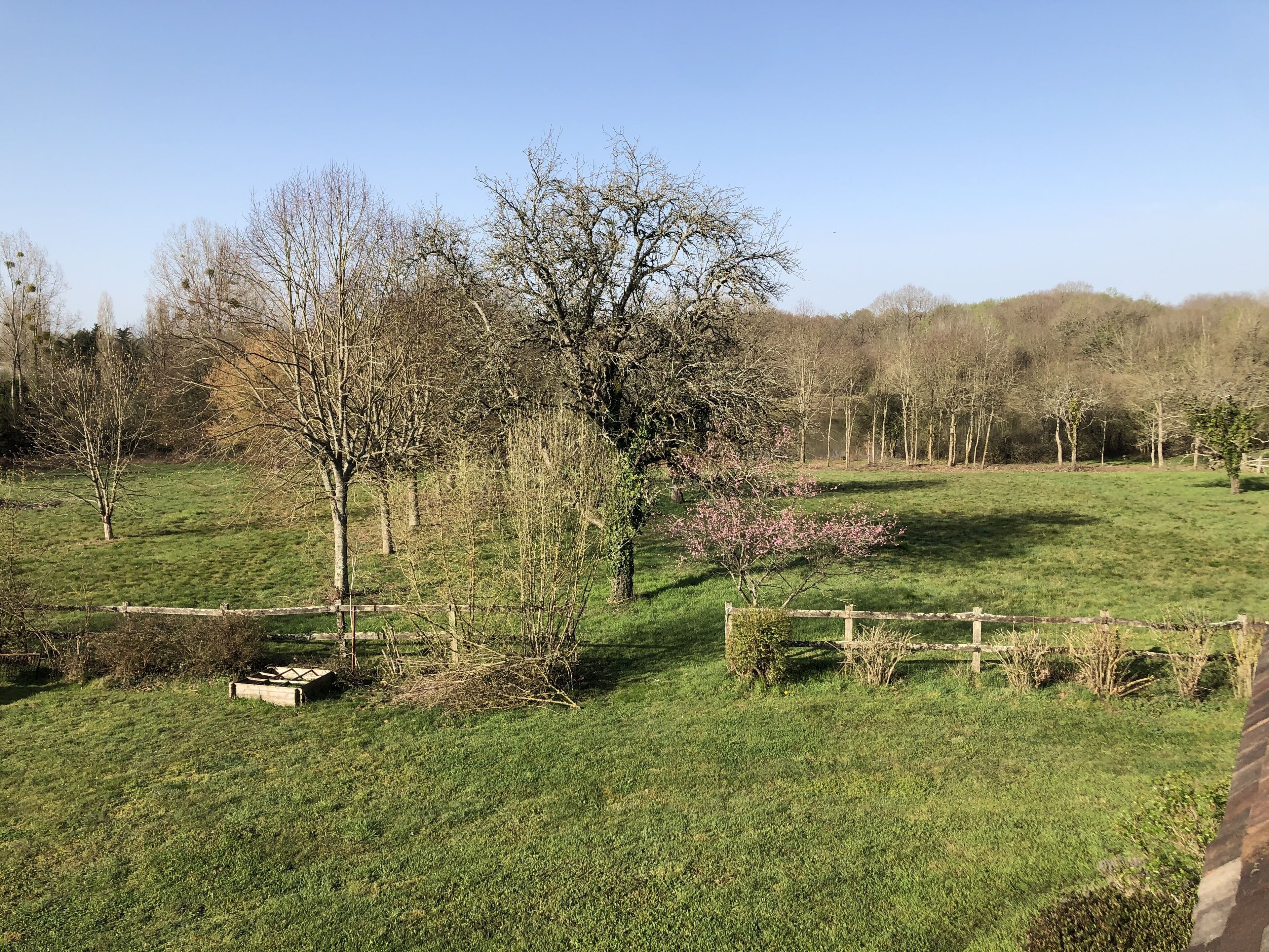 Family Room | Premium bedding, individually decorated, individually furnished, desk