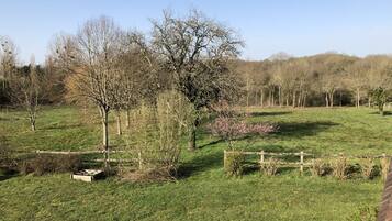 Chambre Familiale | Literie de qualité supérieure, décoration personnalisée