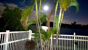 A night scene with a white fence, palm trees, and a body of water under a full moon.