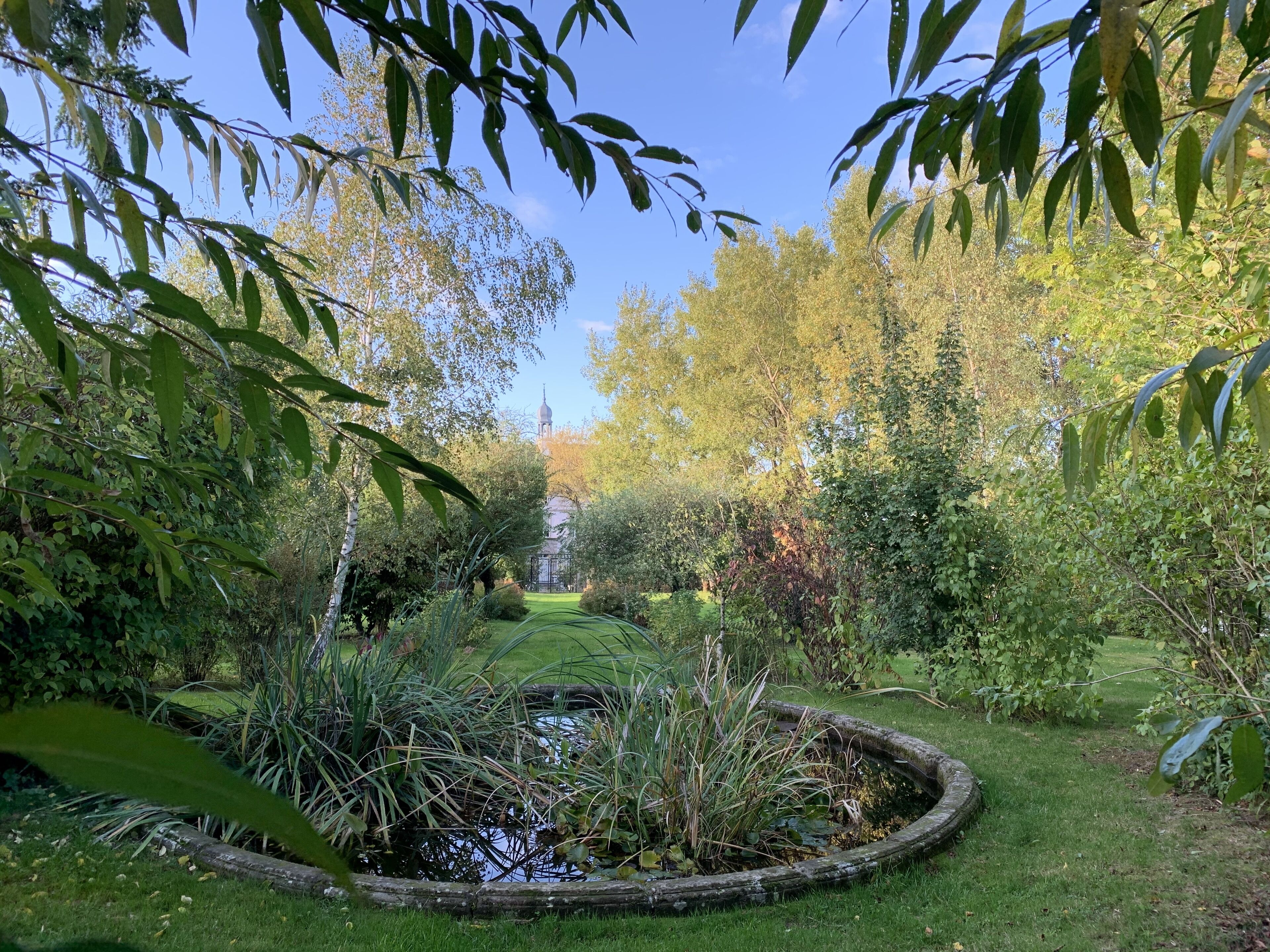 Grillaus-/piknikalue