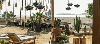 Ocean Vagabond Dakhla