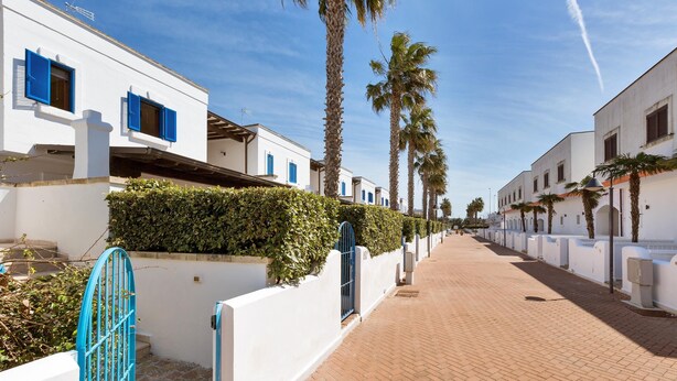 A narrow paved street lined with white buildings, palm trees, and a blue gate.
