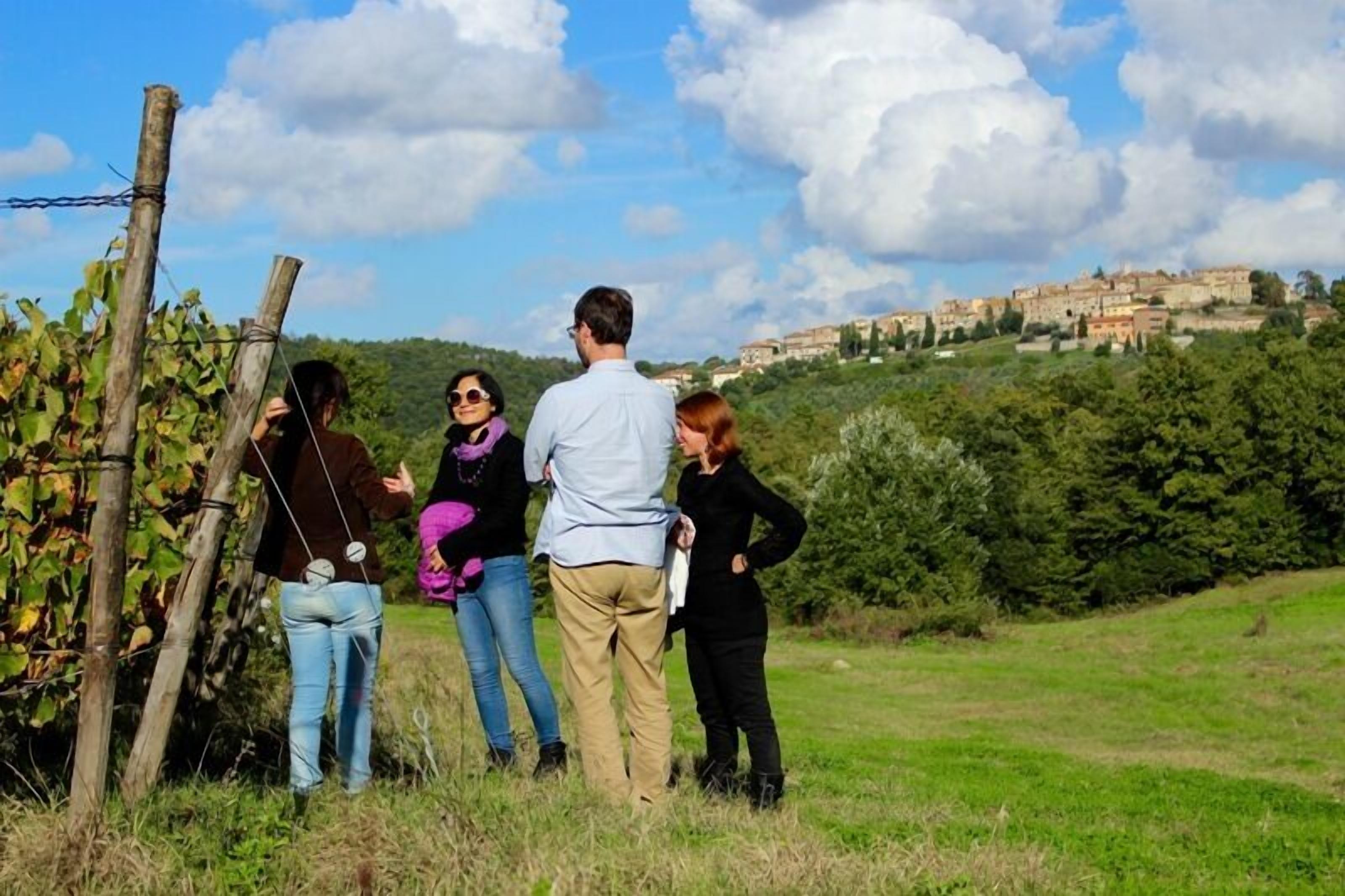 A group of people standing in a vineyard with a view of a hillside town.