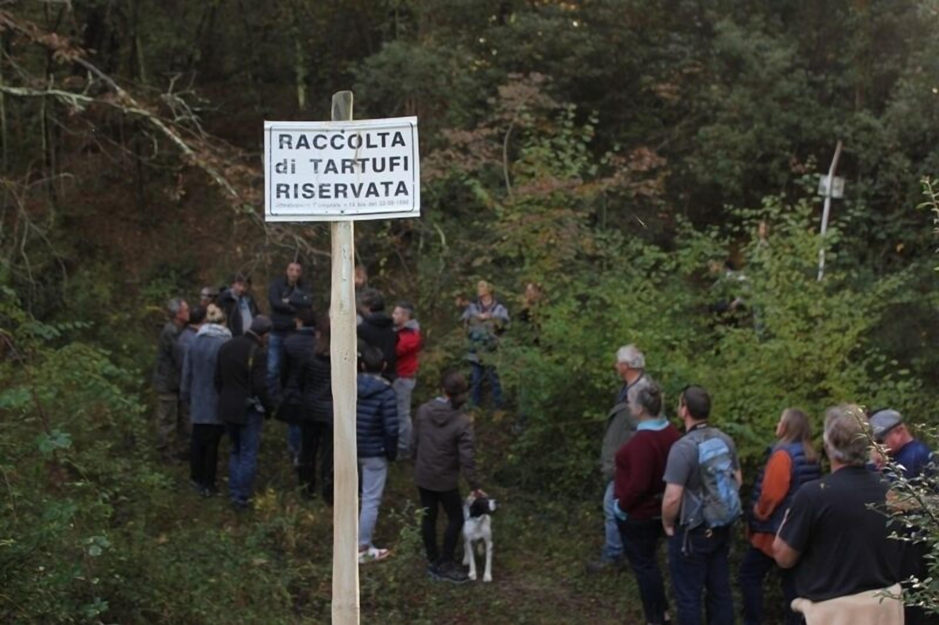 Un grupo de personas reunidas alrededor de un cartel en un área boscosa.