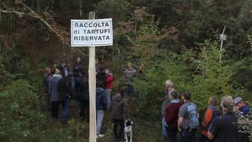 Un grupo de personas reunidas alrededor de un cartel en un área boscosa.