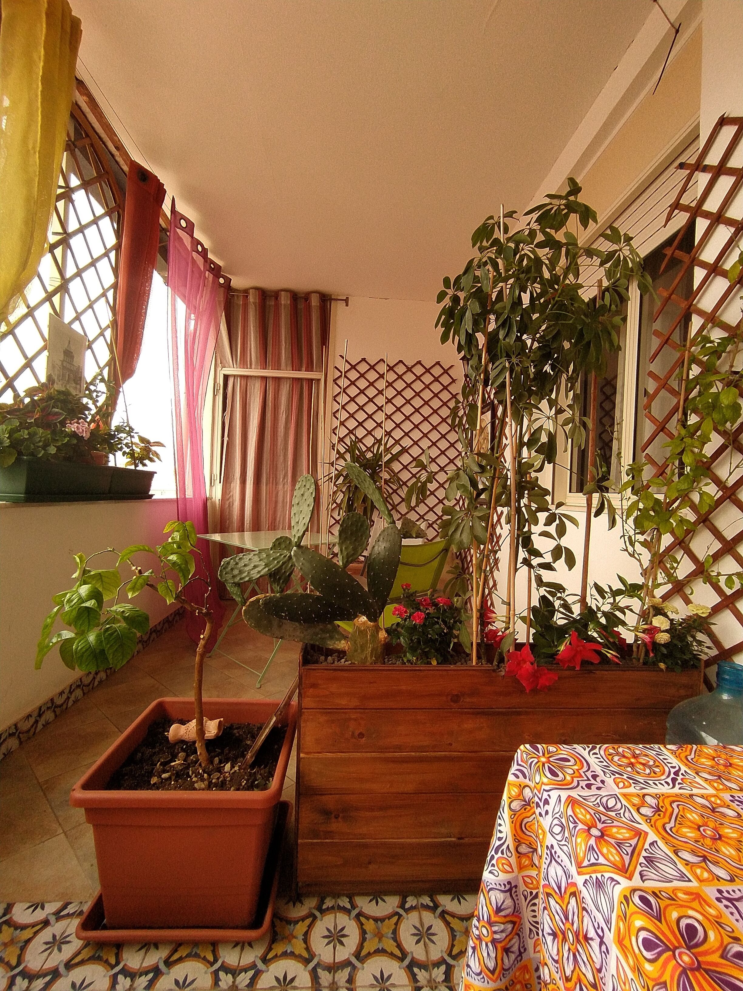Quarto standard, 1 cama King, suíte, vista para a montanha | Terraço/pátio