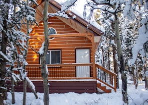 Redfox Cabin | Front of property - Denali Wild Stay (Healy)