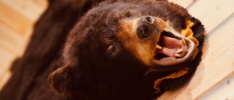 A bear lying on a wooden surface.