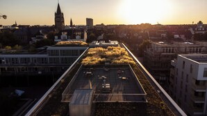 A rooftop terrace with a garden, overlooking a cityscape with buildings and a church tower. - THE CLOUTH (Cologne)