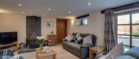 TV, fireplace, books