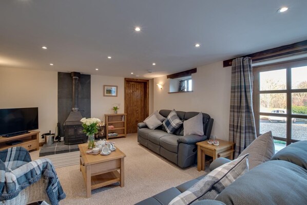 Televisión, chimenea y libros