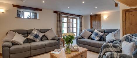 TV, fireplace, books