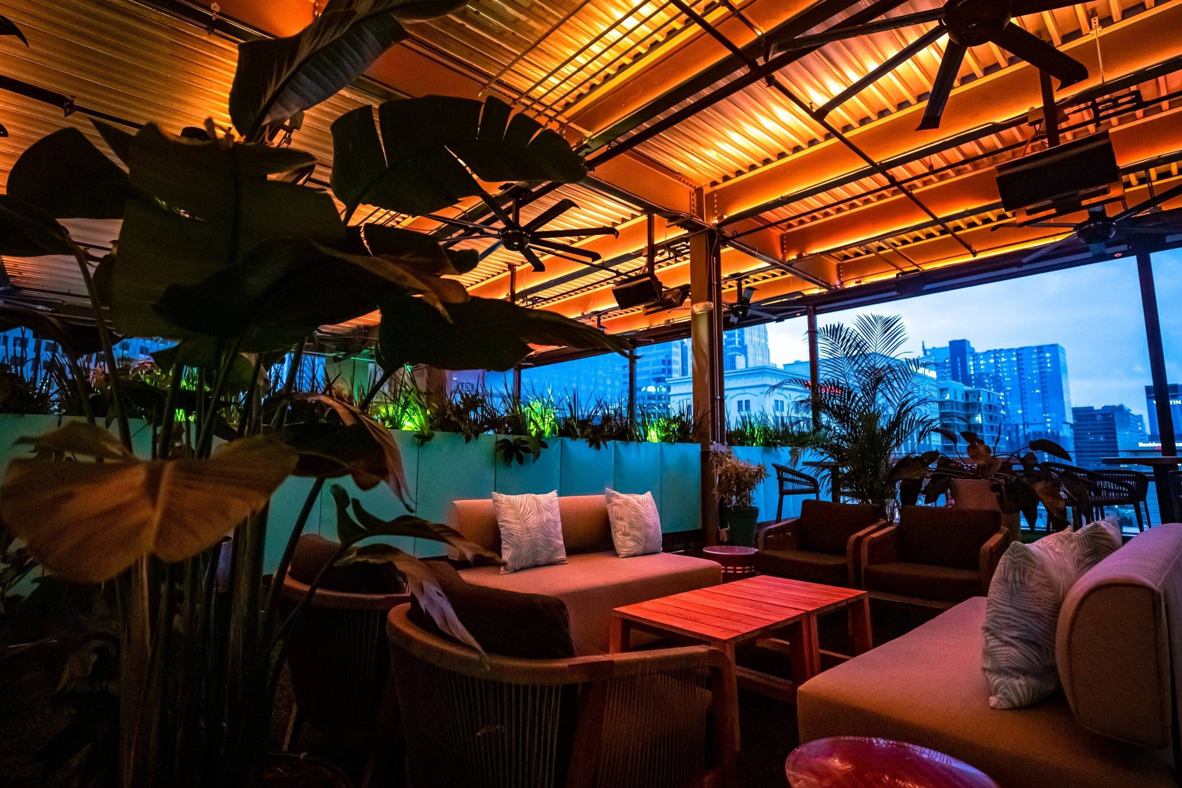 An indoor seating area with a view of a city skyline, featuring a ceiling with exposed beams and a variety of plants.