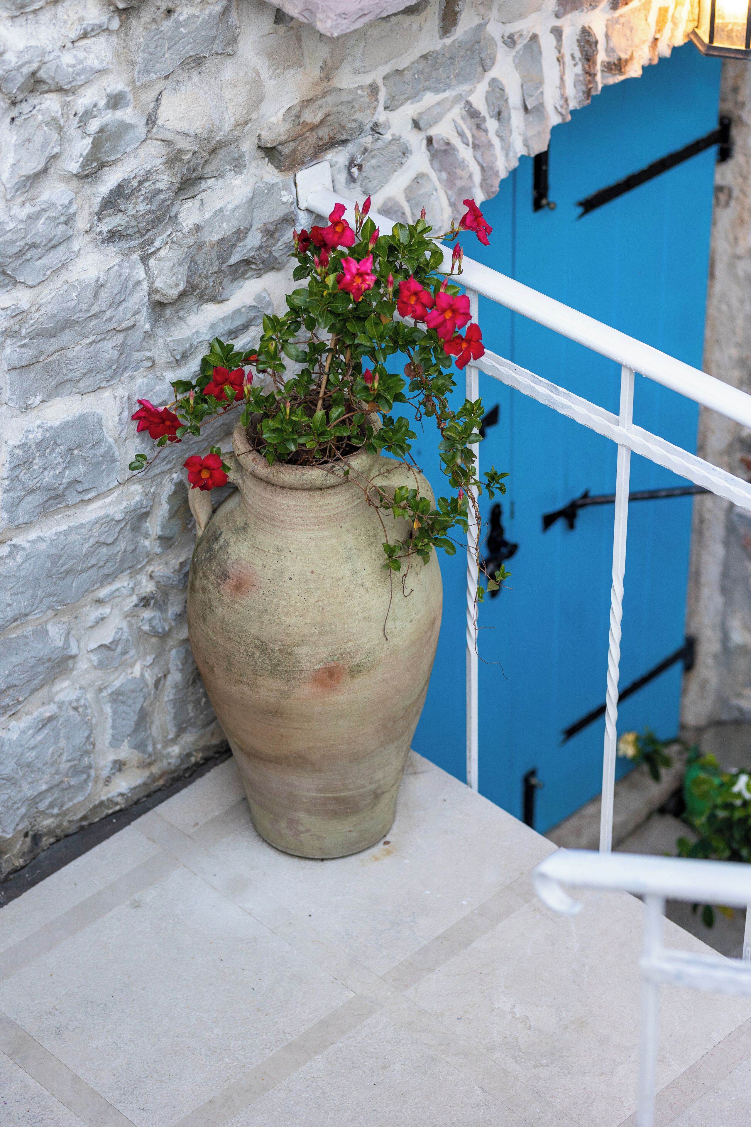 Una maceta de terracota grande con flores rojas sobre un suelo de baldosas, junto a una pared de piedra y una puerta azul.