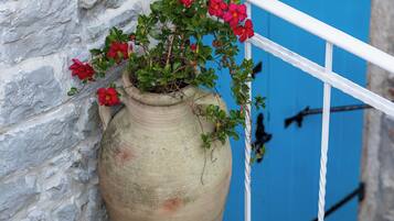 Una maceta de terracota grande con flores rojas sobre un suelo de baldosas, junto a una pared de piedra y una puerta azul.