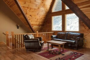 电视、壁炉、DVD 播放器、桌上足球