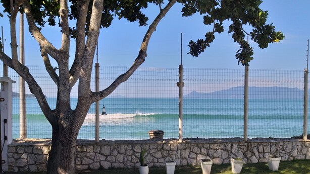 A coastal view with a stone wall and potted plants.