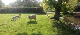 Hayloft - Converted Barn In An Attractive Courtyard On Our Family Stockfarm