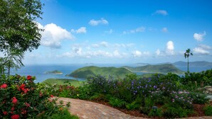A landscaped garden with a brick pathway, lush greenery, and vibrant flowers. - Bayview Villa Mint condition, private pool, amazing views. Relaxing breezes! (St.John)
