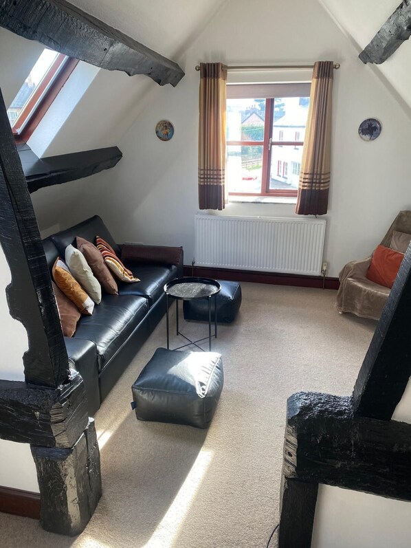 تلفزيون ذكي، مدفأة، كُتُب، مكتبة فيديو