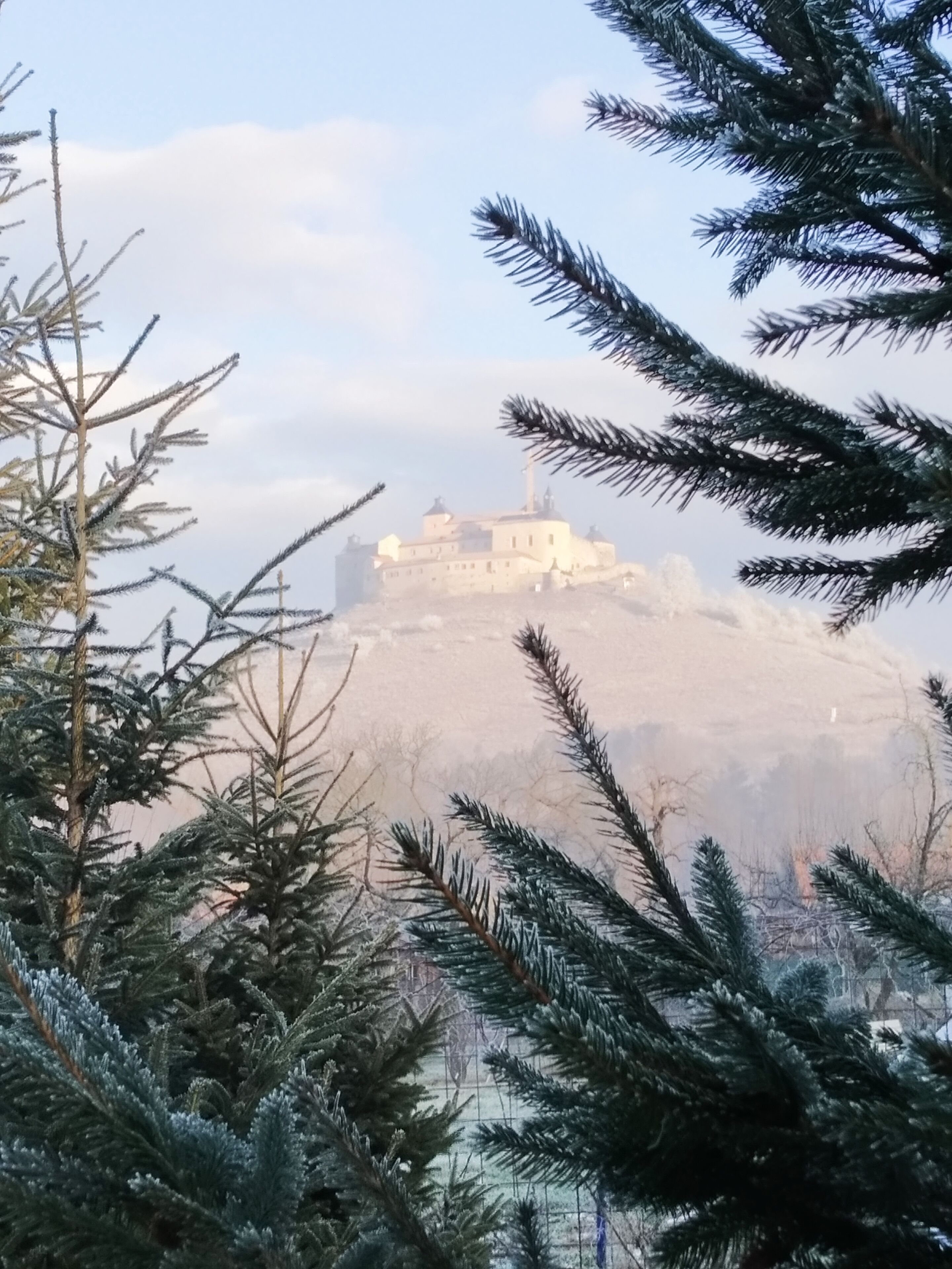 A castle-like structure on a hill with surrounding evergreen trees.