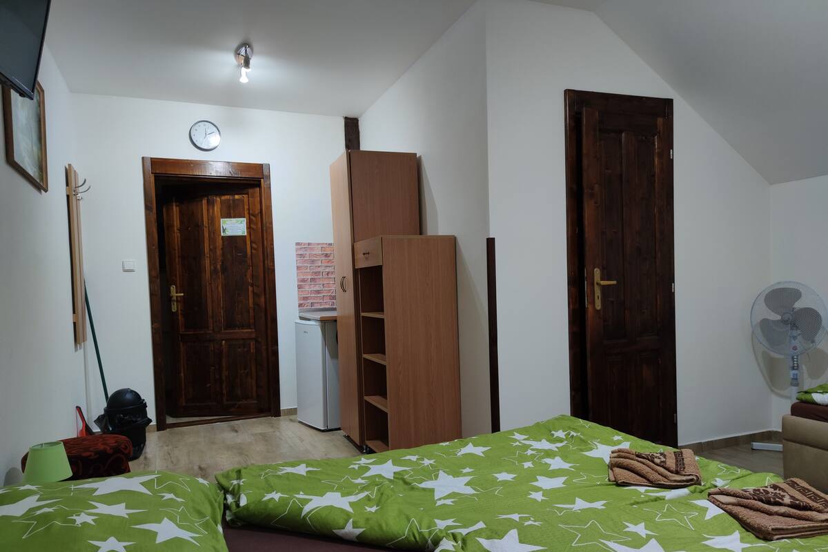 Een slaapkamer met een bed met groen-wit sterrenbeddengoed, een houten garderobe, een kleine witte koelkast, een houten deur en een staande ventilator.