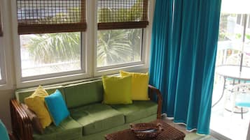 TV, DVD player, books, video library