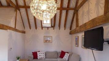 Télévision, lecteur de DVD, livres