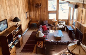 Smart TV, fireplace, books, stereo