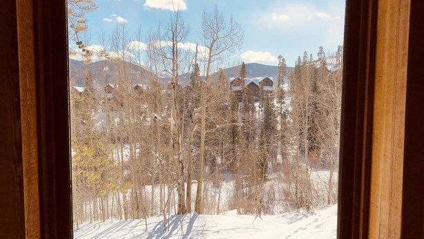A window with a view of a snowy landscape, bare trees, and distant buildings.