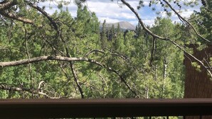 A view of a forested area with a mountain in the background, a wooden deck, and a metal railing.