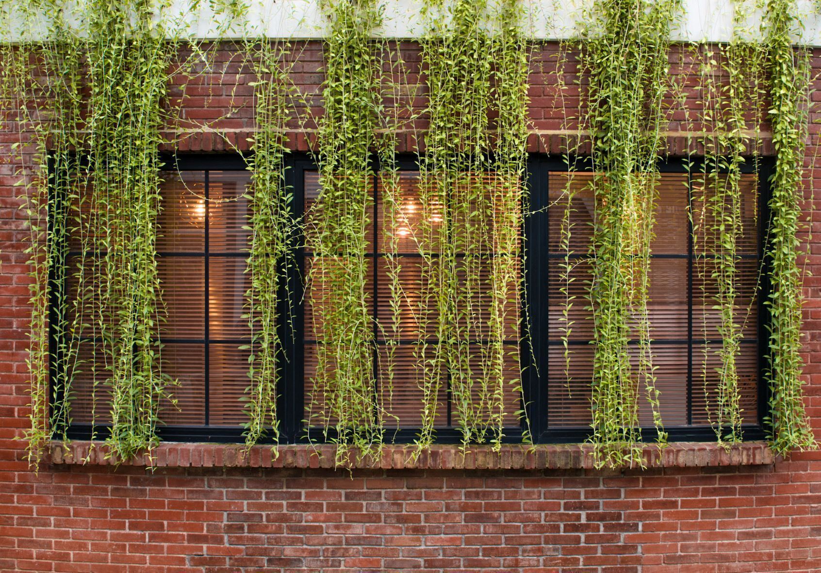 Foto - Rumanami Residence