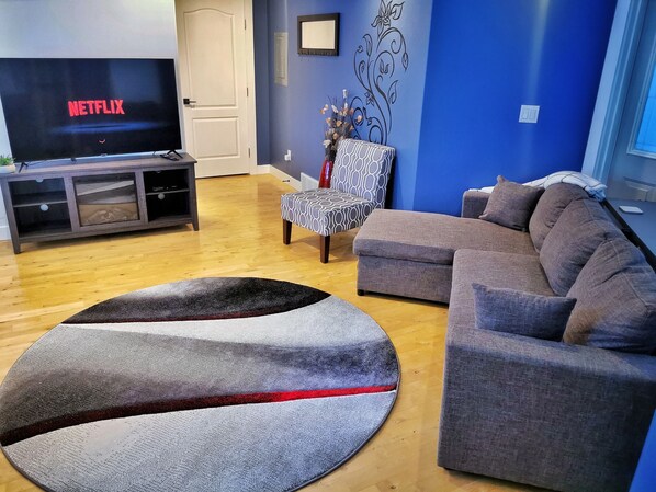 Smart TV, fireplace, Netflix, books