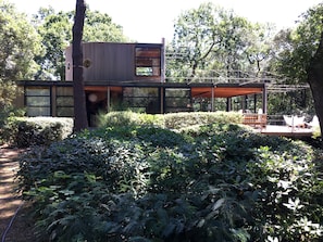 Ein modernes Haus mit einer großen Terrasse, umgeben von üppiger Vegetation und Bäumen.