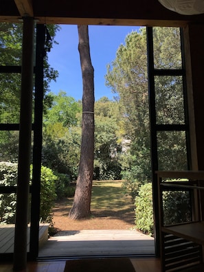 Blick durch ein großes Fenster mit Holzrahmen auf einen gepflegten Garten mit einem hohen Baum, verschiedenen Sträuchern und einer Holzterrasse.